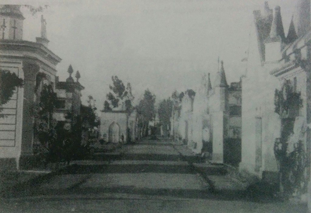 Imagen del viejo cementerio local, construido en 1865. Sus ruinas, se